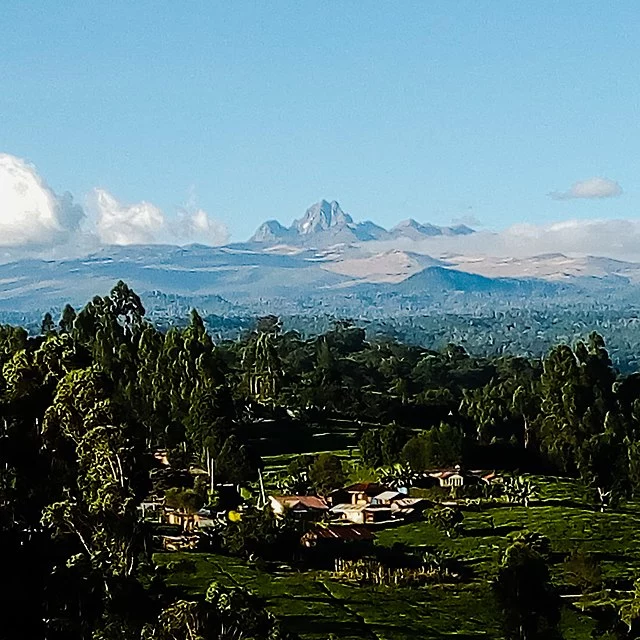 View Of Mount Kenya From Timau.