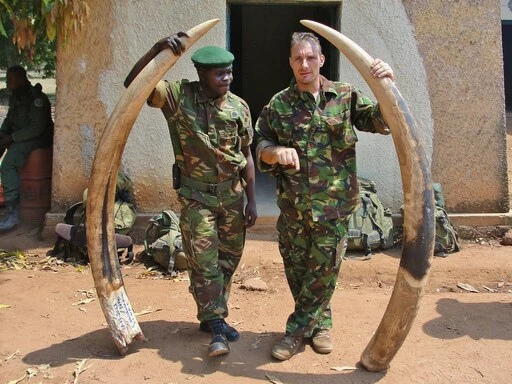 Elephant ivory seized from poachers in Garamba