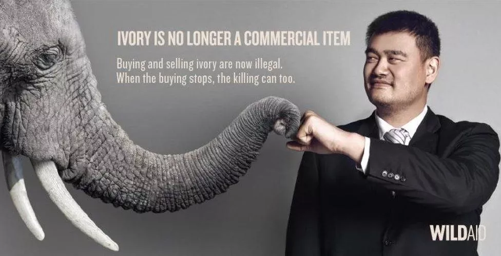 Yao Ming Campaign against Ivory Trade