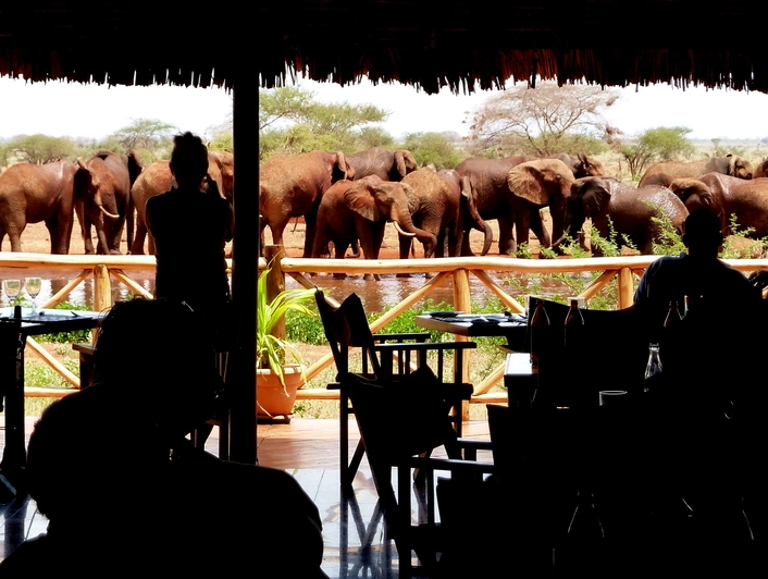 Elephants and People. Gutuni Lodge. Tsavo East National Park.
