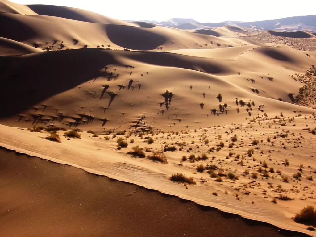 Arid Vastness Of Namib Desert